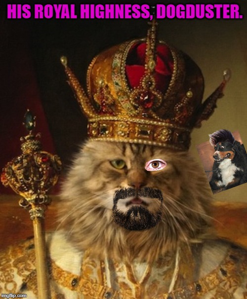 dogduster | HIS ROYAL HIGHNESS, DOGDUSTER. | image tagged in dogduster | made w/ Imgflip meme maker