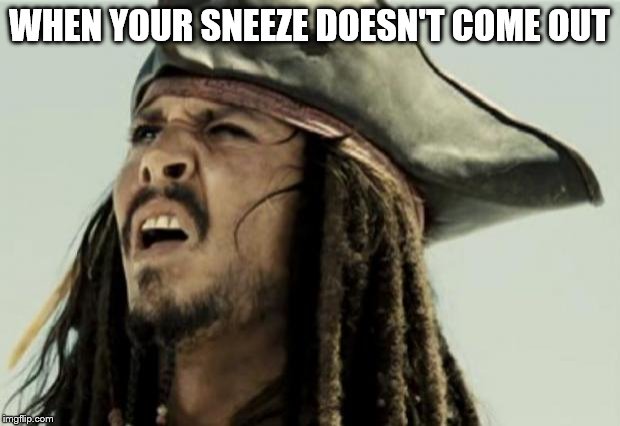 I don't know about y'all but this is the exact face I make | WHEN YOUR SNEEZE DOESN'T COME OUT | image tagged in confused dafuq jack sparrow what,sneeze | made w/ Imgflip meme maker