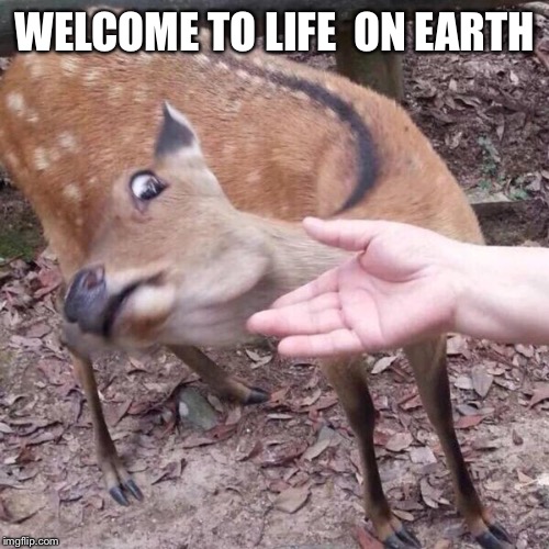 nope | WELCOME TO LIFE 
ON EARTH | image tagged in nope | made w/ Imgflip meme maker