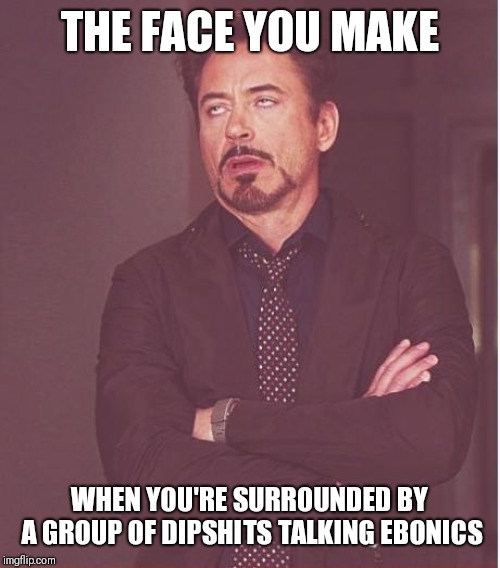 Face You Make Robert Downey Jr Meme | THE FACE YOU MAKE; WHEN YOU'RE SURROUNDED BY A GROUP OF DIPSHITS TALKING EBONICS | image tagged in memes,face you make robert downey jr | made w/ Imgflip meme maker