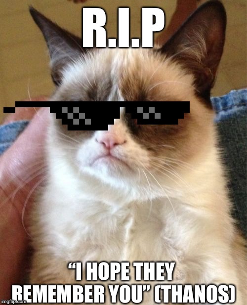 Grumpy Cat | R.I.P; “I HOPE THEY REMEMBER YOU” (THANOS) | image tagged in memes,grumpy cat | made w/ Imgflip meme maker