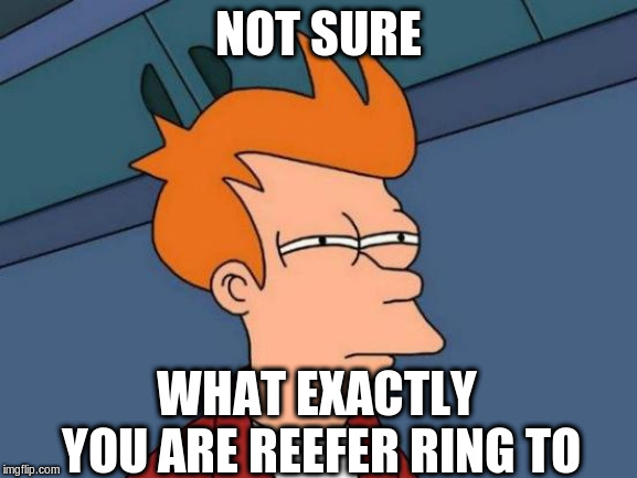 Futurama Fry Meme | NOT SURE WHAT EXACTLY YOU ARE REEFER RING TO | image tagged in memes,futurama fry | made w/ Imgflip meme maker