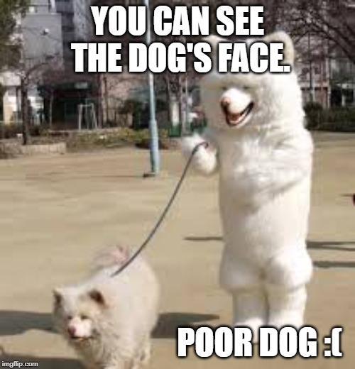 Poor dog | YOU CAN SEE THE DOG'S FACE. POOR DOG :( | image tagged in dogs | made w/ Imgflip meme maker