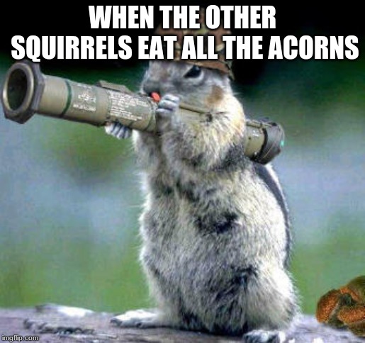 Bazooka Squirrel | WHEN THE OTHER SQUIRRELS EAT ALL THE ACORNS | image tagged in memes,bazooka squirrel | made w/ Imgflip meme maker