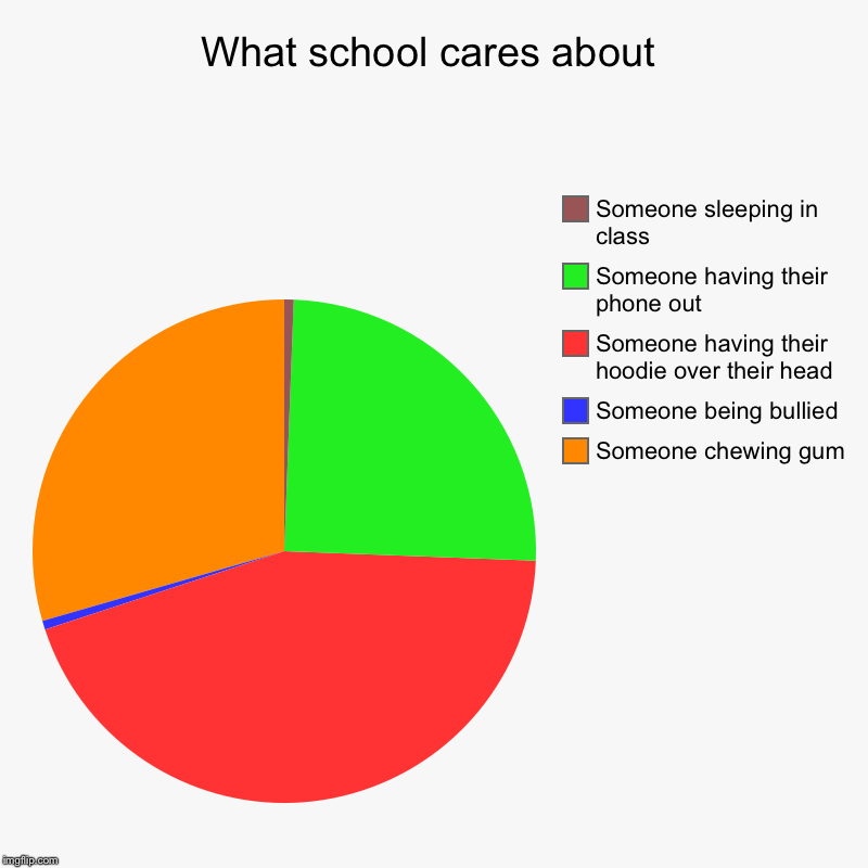 What school cares about | Someone chewing gum, Someone being bullied, Someone having their hoodie over their head, Someone having their phon | image tagged in charts,pie charts | made w/ Imgflip chart maker