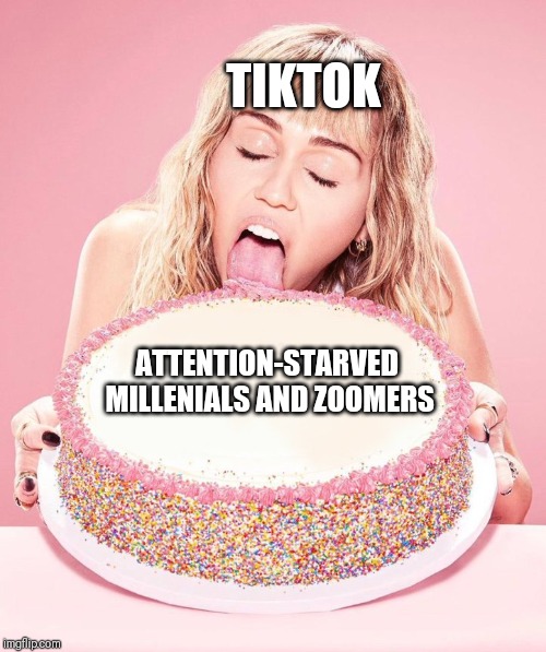 Cake PSA | TIKTOK; ATTENTION-STARVED MILLENIALS AND ZOOMERS | image tagged in cake psa | made w/ Imgflip meme maker