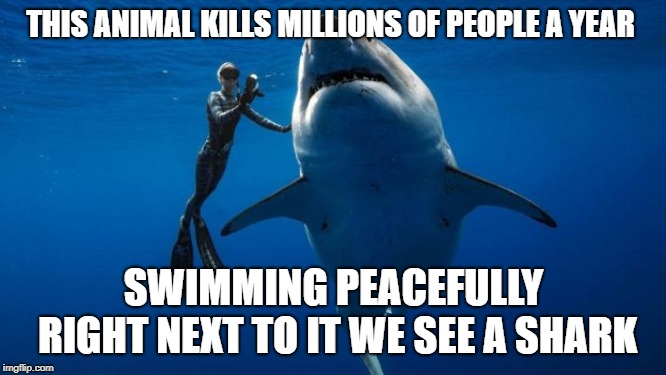 the truth | THIS ANIMAL KILLS MILLIONS OF PEOPLE A YEAR; SWIMMING PEACEFULLY RIGHT NEXT TO IT WE SEE A SHARK | image tagged in shark,human,memes,funny,the truth | made w/ Imgflip meme maker