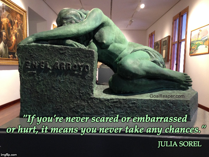 Take a Chance! | GoalReaper.com; "If you're never scared or embarrassed or hurt, it means you never take any chances."; JULIA SOREL | image tagged in inspirational quote,quote,courage,chance,encouragement | made w/ Imgflip meme maker