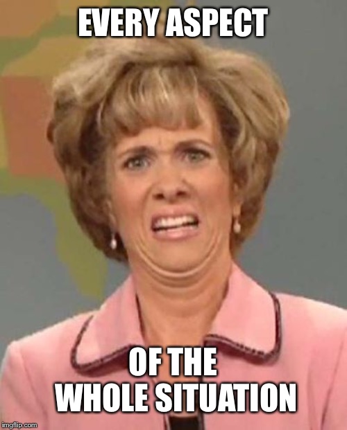 Disgusted Kristin Wiig | EVERY ASPECT OF THE WHOLE SITUATION | image tagged in disgusted kristin wiig | made w/ Imgflip meme maker