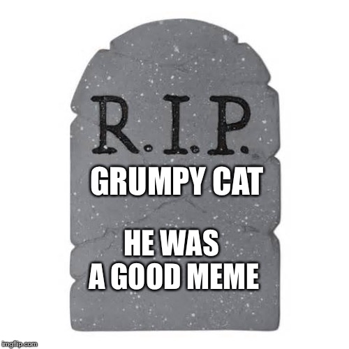 Tombstone | GRUMPY CAT HE WAS A GOOD MEME | image tagged in tombstone | made w/ Imgflip meme maker