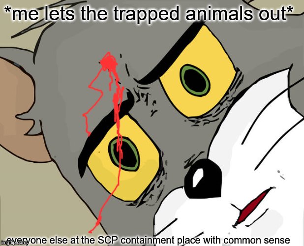 Unsettled Tom Meme | *me lets the trapped animals out*; everyone else at the SCP containment place with common sense | image tagged in memes,unsettled tom | made w/ Imgflip meme maker
