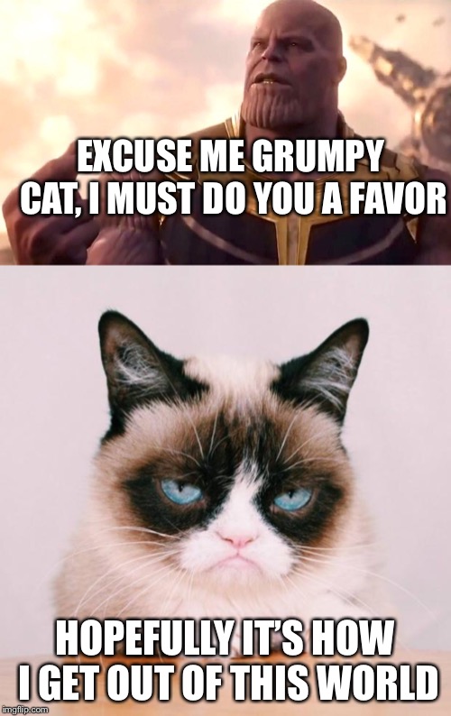EXCUSE ME GRUMPY CAT, I MUST DO YOU A FAVOR HOPEFULLY IT’S HOW I GET OUT OF THIS WORLD | image tagged in grumpy cat again,thanos snap | made w/ Imgflip meme maker