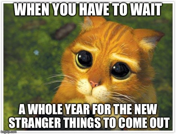 Shrek Cat | WHEN YOU HAVE TO WAIT; A WHOLE YEAR FOR THE NEW STRANGER THINGS TO COME OUT | image tagged in memes,shrek cat | made w/ Imgflip meme maker