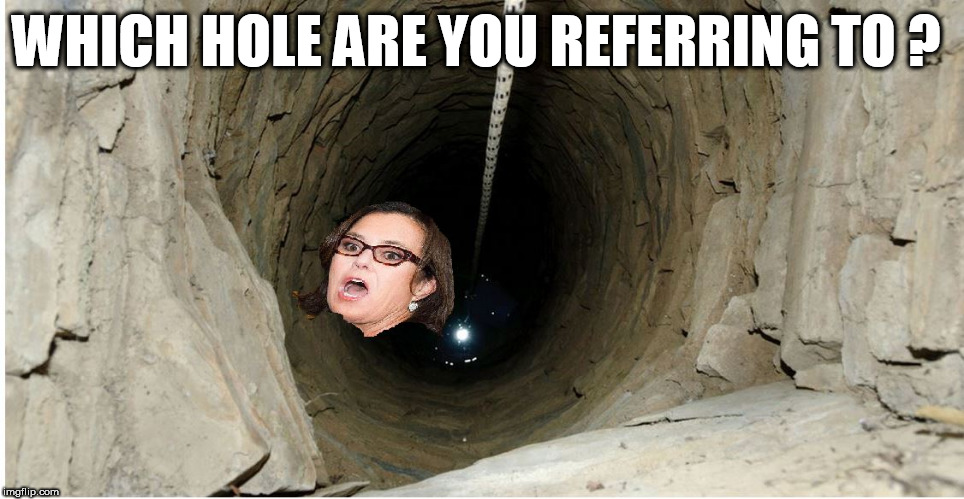 ROSE PIG  -    HEAD  TOSSED  IN  A  WELLSHE   OUGHTA  DO   "WELL   DOWN   THERE" | WHICH HOLE ARE YOU REFERRING TO ? | image tagged in rosie o'donnell,rosie  head,in a well | made w/ Imgflip meme maker