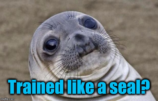 Awkward Moment Sealion Meme | Trained like a seal? | image tagged in memes,awkward moment sealion | made w/ Imgflip meme maker