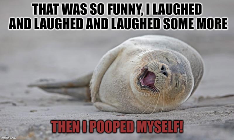 Pooped myself | THAT WAS SO FUNNY, I LAUGHED AND LAUGHED AND LAUGHED SOME MORE; THEN I POOPED MYSELF! | image tagged in pooped myself | made w/ Imgflip meme maker
