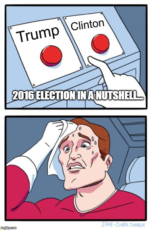 Two Buttons | Clinton; Trump; 2016 ELECTION IN A NUTSHELL... | image tagged in memes,two buttons | made w/ Imgflip meme maker