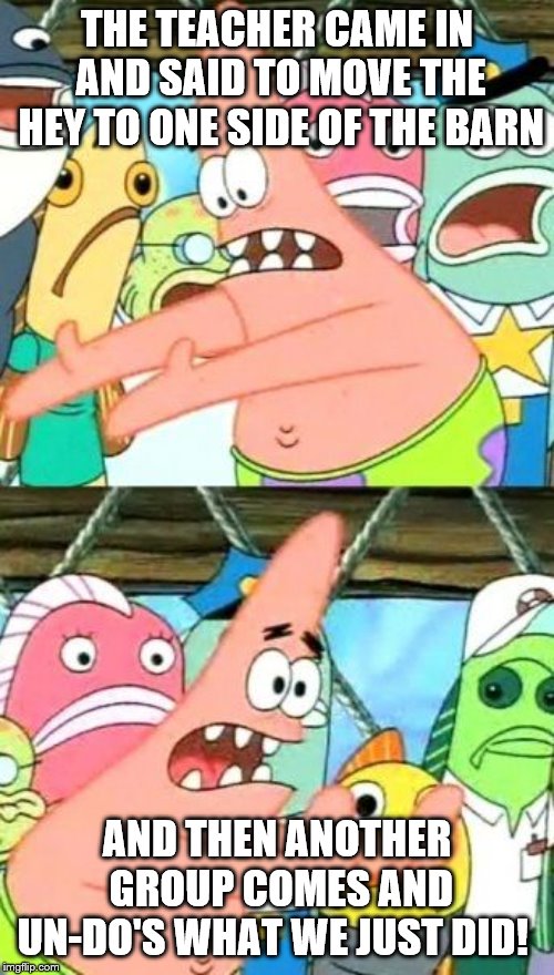 Put It Somewhere Else Patrick Meme | THE TEACHER CAME IN AND SAID TO MOVE THE HEY TO ONE SIDE OF THE BARN; AND THEN ANOTHER GROUP COMES AND UN-DO'S WHAT WE JUST DID! | image tagged in memes,put it somewhere else patrick | made w/ Imgflip meme maker