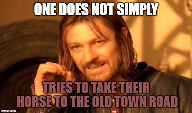 One Does Not Simply Meme | ONE DOES NOT SIMPLY; TRIES TO TAKE THEIR HORSE TO THE OLD TOWN ROAD | image tagged in memes,one does not simply | made w/ Imgflip meme maker