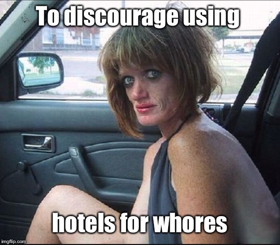 crack whore hooker | To discourage using hotels for w**res | image tagged in crack whore hooker | made w/ Imgflip meme maker