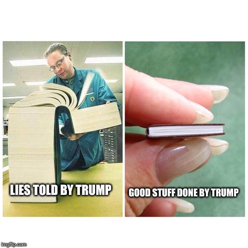Big book vs Little Book | LIES TOLD BY TRUMP; GOOD STUFF DONE BY TRUMP | image tagged in big book vs little book | made w/ Imgflip meme maker