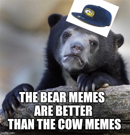 Confession Bear Meme | THE BEAR MEMES; ARE BETTER THAN THE COW MEMES | image tagged in memes,confession bear | made w/ Imgflip meme maker