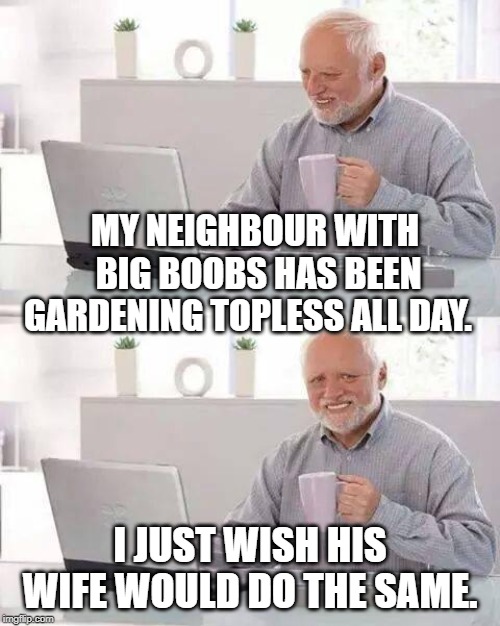 Hide the Pain Harold Meme | MY NEIGHBOUR WITH BIG BOOBS HAS BEEN GARDENING TOPLESS ALL DAY. I JUST WISH HIS WIFE WOULD DO THE SAME. | image tagged in memes,hide the pain harold | made w/ Imgflip meme maker