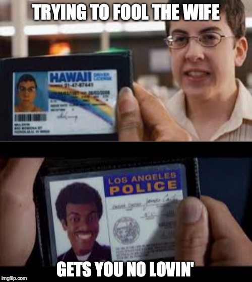 She Knows | TRYING TO FOOL THE WIFE; GETS YOU NO LOVIN' | image tagged in trying to fool the wife gets you no lovin',mclovin,chris tucker,wife,love,she knows | made w/ Imgflip meme maker