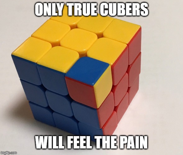 true pain | ONLY TRUE CUBERS; WILL FEEL THE PAIN | image tagged in true pain | made w/ Imgflip meme maker