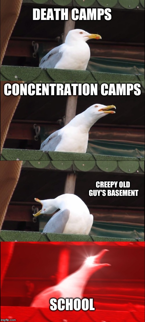 Inhaling Seagull Meme | DEATH CAMPS; CONCENTRATION CAMPS; CREEPY OLD GUY'S BASEMENT; SCHOOL | image tagged in memes,inhaling seagull | made w/ Imgflip meme maker