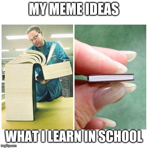 Big book vs Little Book | MY MEME IDEAS; WHAT I LEARN IN SCHOOL | image tagged in big book vs little book | made w/ Imgflip meme maker