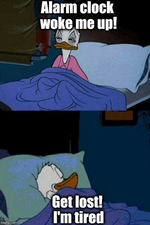 sleepy donald duck in bed | Alarm clock woke me up! Get lost! I'm tired | image tagged in sleepy donald duck in bed | made w/ Imgflip meme maker