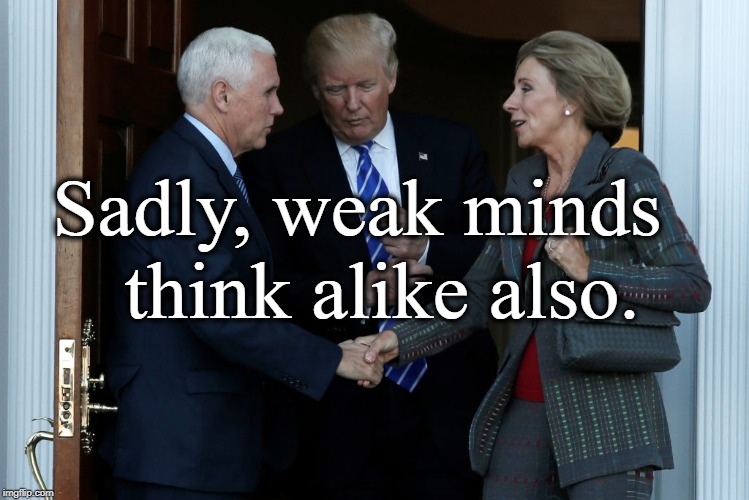 Think Alike | Sadly, weak minds; think alike also. | image tagged in political | made w/ Imgflip meme maker