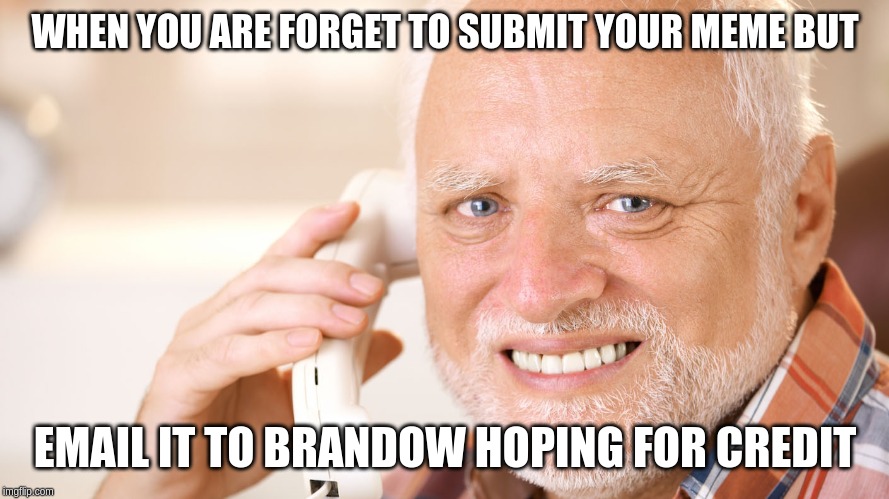 WHEN YOU ARE FORGET TO SUBMIT YOUR MEME BUT; EMAIL IT TO BRANDOW HOPING FOR CREDIT | image tagged in pie charts | made w/ Imgflip meme maker