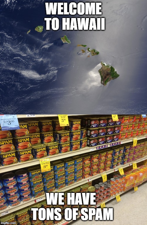Its summer so here's some memes to kick the summer break off | WELCOME TO HAWAII; WE HAVE TONS OF SPAM | image tagged in summer,spam,hawaii,vacation spam,wtf hawaii,why so much spam | made w/ Imgflip meme maker