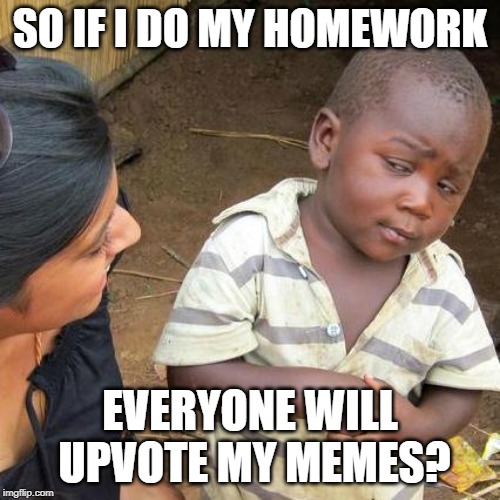 Third World Skeptical Kid Meme | SO IF I DO MY HOMEWORK; EVERYONE WILL UPVOTE MY MEMES? | image tagged in memes,third world skeptical kid | made w/ Imgflip meme maker