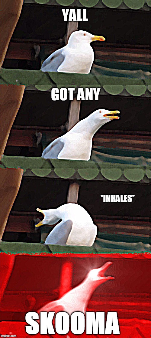 Inhaling Seagull | YALL; GOT ANY; *INHALES*; SKOOMA | image tagged in memes,inhaling seagull | made w/ Imgflip meme maker