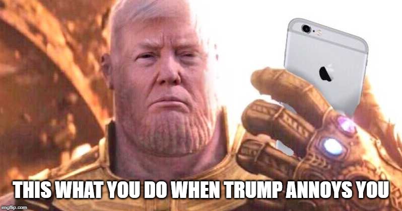 thanos trump | THIS WHAT YOU DO WHEN TRUMP ANNOYS YOU | image tagged in thanos trump | made w/ Imgflip meme maker