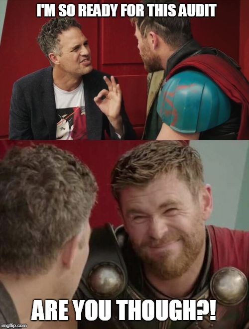 Thorditing | I'M SO READY FOR THIS AUDIT; ARE YOU THOUGH?! | image tagged in funny memes,thor ragnarok | made w/ Imgflip meme maker