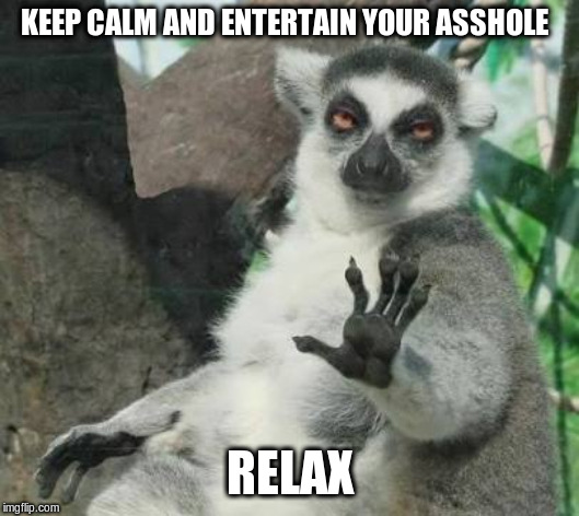 No thanks lemur | KEEP CALM AND ENTERTAIN YOUR ASSHOLE RELAX | image tagged in no thanks lemur | made w/ Imgflip meme maker