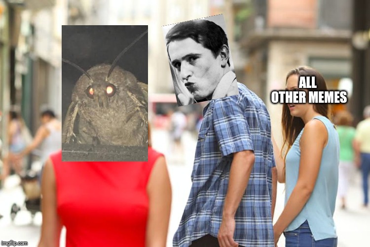 Distracted Boyfriend Meme | ALL OTHER MEMES | image tagged in memes,distracted boyfriend | made w/ Imgflip meme maker