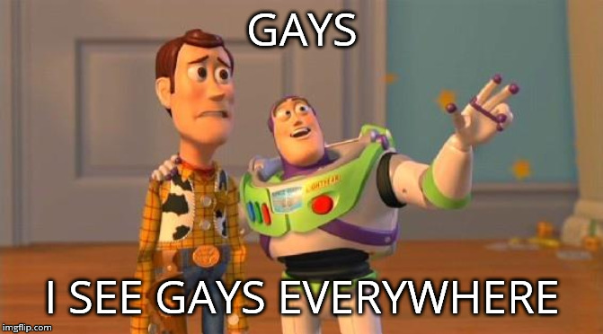 TOYSTORY EVERYWHERE | GAYS; I SEE GAYS EVERYWHERE | image tagged in toystory everywhere | made w/ Imgflip meme maker