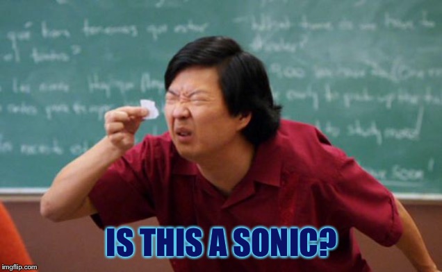 Tiny piece of paper | IS THIS A SONIC? | image tagged in tiny piece of paper | made w/ Imgflip meme maker