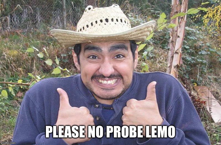 Mexican Two Thumbs Up | PLEASE NO PROBE LEMO | image tagged in mexican two thumbs up | made w/ Imgflip meme maker