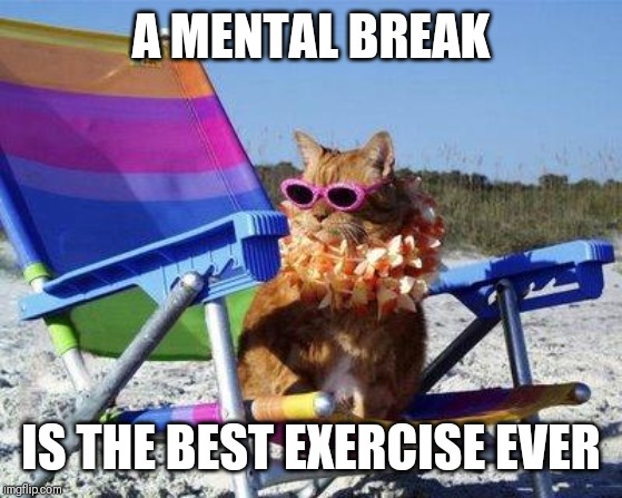 Jroc113 | A MENTAL BREAK; IS THE BEST EXERCISE EVER | image tagged in beach cat | made w/ Imgflip meme maker