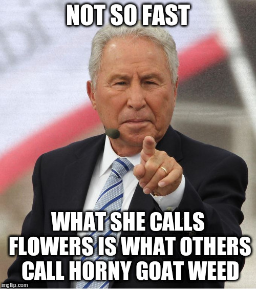 Not So Fast | NOT SO FAST WHAT SHE CALLS FLOWERS IS WHAT OTHERS CALL HORNY GOAT WEED | image tagged in not so fast | made w/ Imgflip meme maker