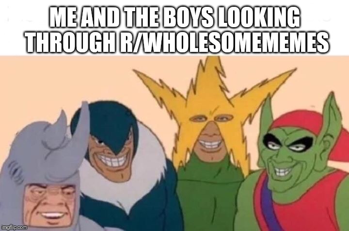 Me And The Boys | ME AND THE BOYS LOOKING THROUGH R/WHOLESOMEMEMES | image tagged in me and the boys | made w/ Imgflip meme maker
