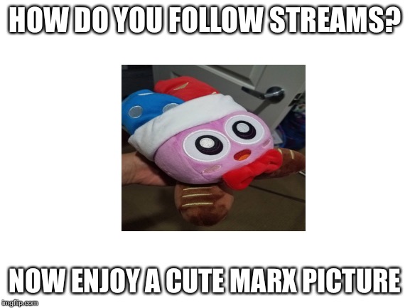 Blank White Template | HOW DO YOU FOLLOW STREAMS? NOW ENJOY A CUTE MARX PICTURE | image tagged in blank white template | made w/ Imgflip meme maker