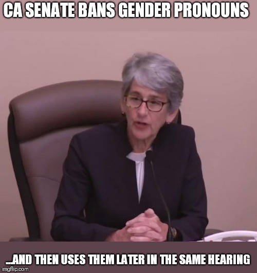 CA SENATE BANS GENDER PRONOUNS; ...AND THEN USES THEM LATER IN THE SAME HEARING | image tagged in funny memes,california,transgender | made w/ Imgflip meme maker