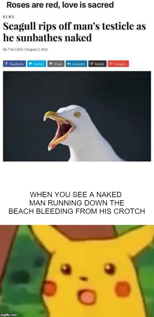 Shouldn't have taken that bird's egg! (http://imgflip.com/m/Headlines) | WHEN YOU SEE A NAKED MAN RUNNING DOWN THE BEACH BLEEDING FROM HIS CROTCH | image tagged in memes,surprised pikachu | made w/ Imgflip meme maker